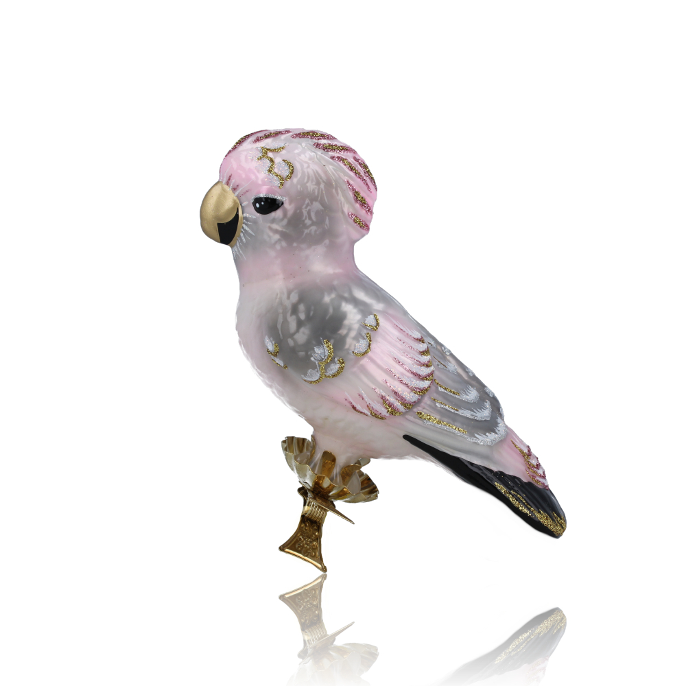 Parrot