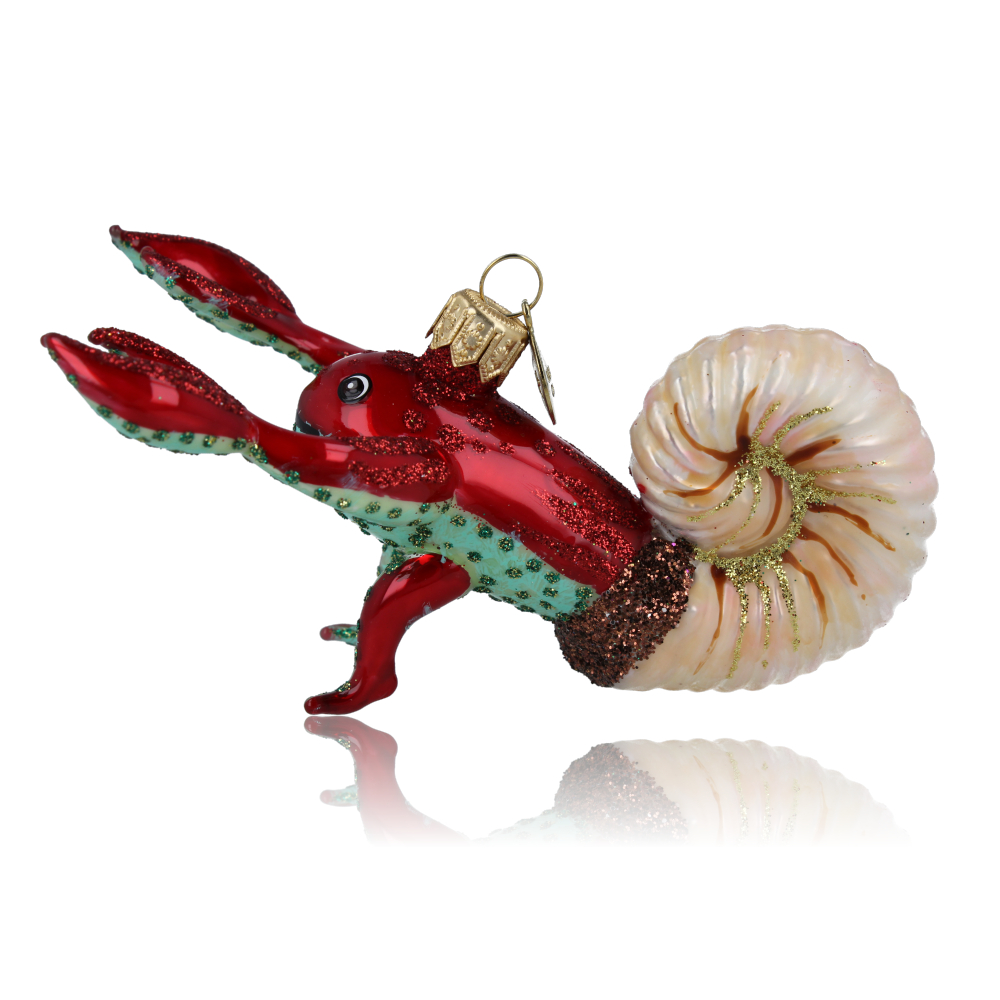 Hermit crab
