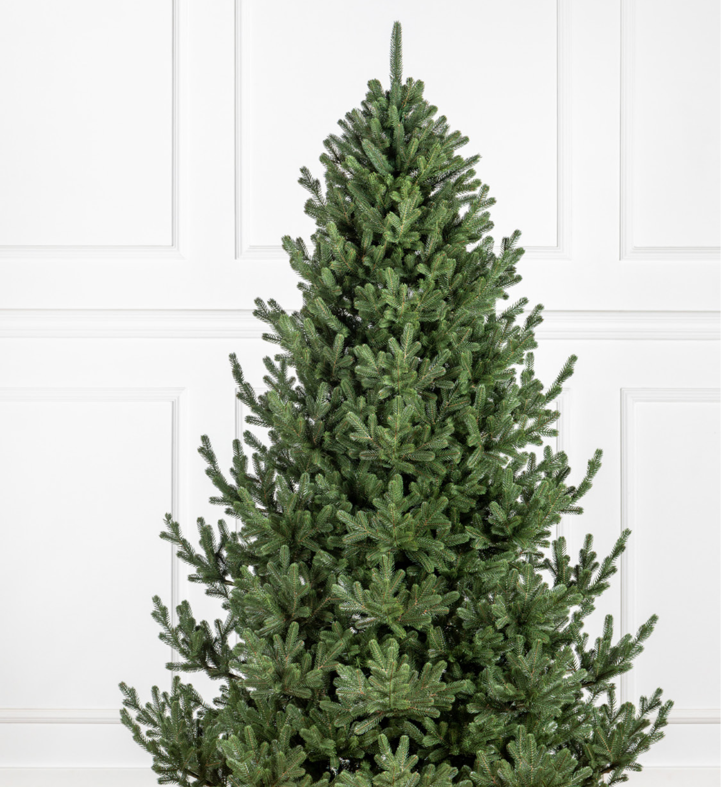 Siga RGB 2024.pdf (2)